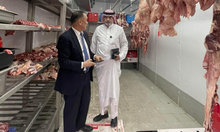 Кувейт улсын хоёр компани Монголоос хонины мах худалдан авах хүсэлтээ илэрхийлжээ