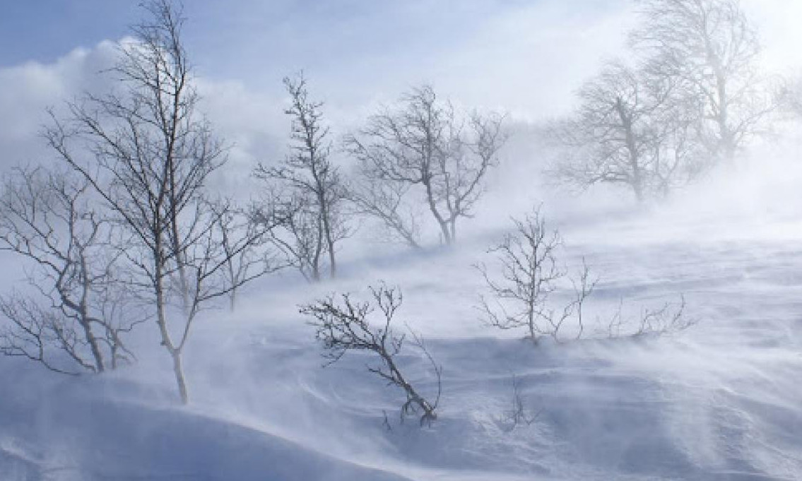 Баян-Өлгий, Ховд, Говь-Алтай, Хөвсгөл, Увс, Завхан аймгийн нутгаар хүчтэй цасан шуурга шуурна